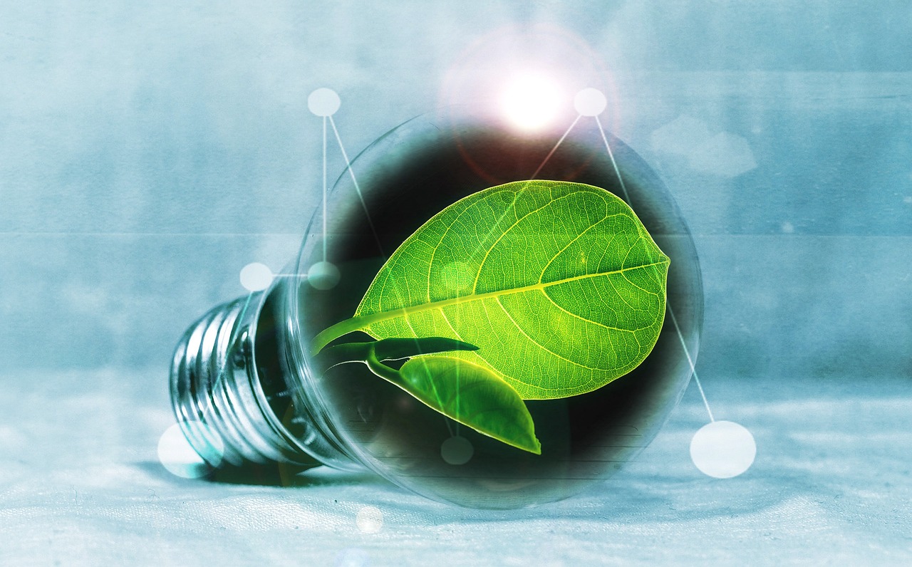 lightbulb, leaf, chlorophyll, green, leaf green, light, pear, nature, flashes, energy, energy transition, energy generation, bulbs, experiment, innovation, environmentally friendly, electricity, environment, electric light, energy saving